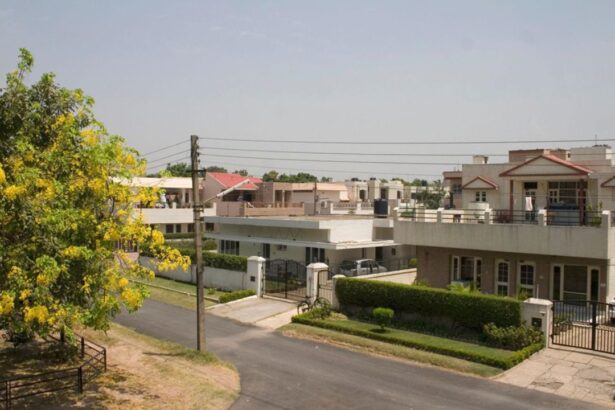 What Free Electricity Actually Means For Ordinary Families | Mohali Dialogues