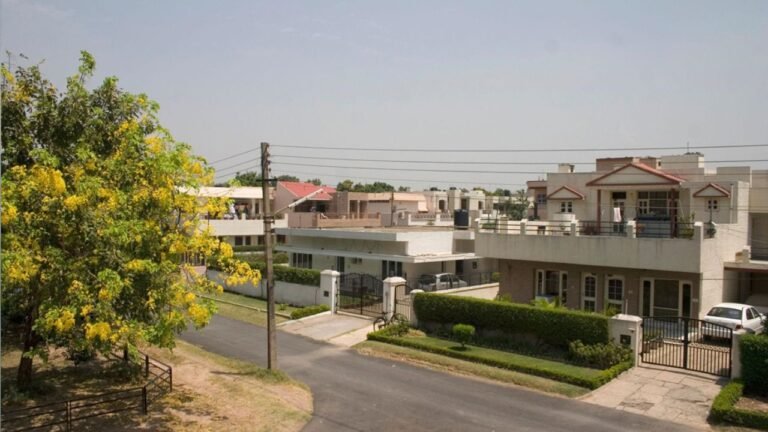 What Free Electricity Actually Means For Ordinary Families | Mohali Dialogues