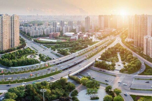 In Mohali, Many Residents Say Development Has Become The Main Political Expectation | Mohali Dialogues