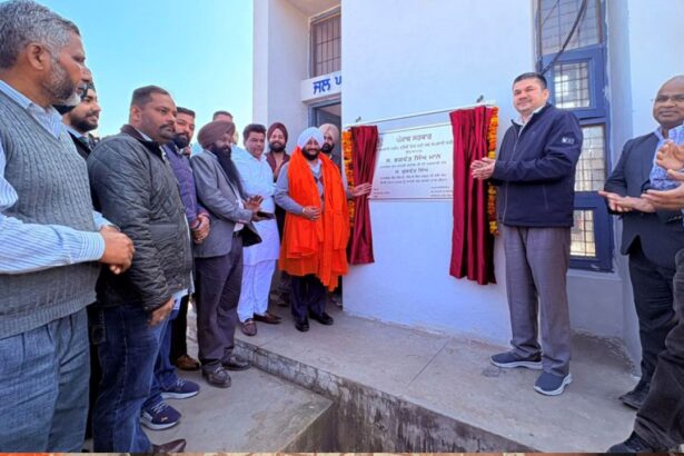 Kulwant Singh Dedicates ₹40 Lakh Water Supply Project in Tdauli Village