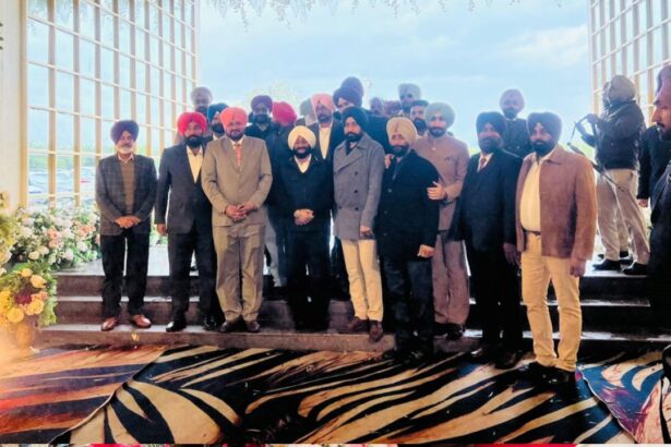 Kulwant Singh Attends Krishan Singh Family Wedding Celebration In Mohali