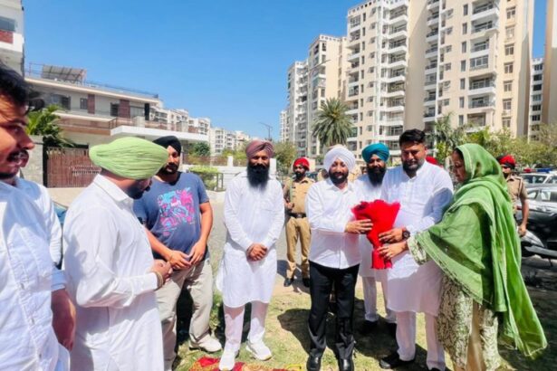 Kulwant Singh Meets TDI City-117 Residents, Reviews Local Issues
