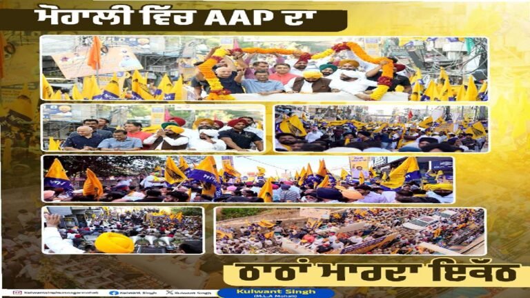 Large Public Participation Marks AAP Road Show in Mohali
