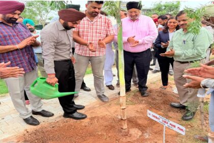 Mayor Sarabjeet Singh Samana inaugurates the newly developed green park at Sector 94, SAS Nagar Mohali, on the occasion of Van Mahotsav