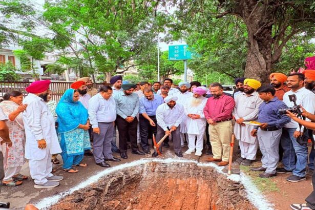 Sewerage infrastructure work underway in Mohali Phase 7.