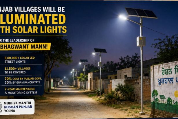 Solar LED streetlights illuminating a Punjab village as part of the rural lighting programme