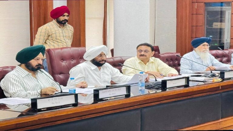Punjab Vidhan Sabha Committee on Local Bodies Reviews Public Interest Issues and Civic Services
