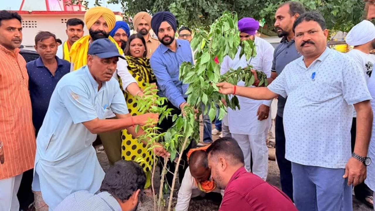 Mayor Sarabjeet Singh Samana attending a religious programme and planting saplings in Balongi Mohali